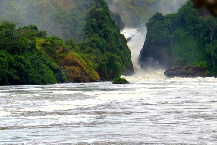 6-Day Wildlife Safari: Kidepo & Murchison Falls National Parks, Uganda photo 2