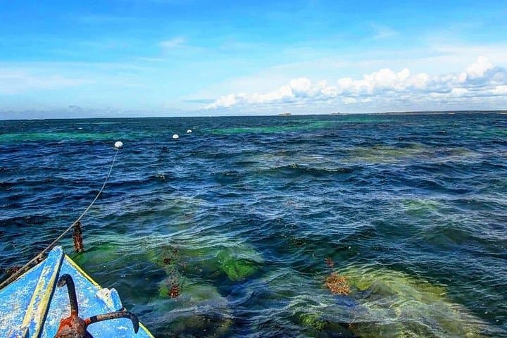 Watamu Coast Escape: 5-Day Marine Park, Sudi Island & Gede Ruins Adventure photo 4