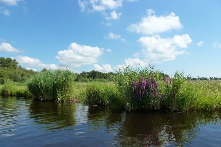 Fresh Nose Canoe Tour: Wetlands Safari Near Amsterdam photo 3