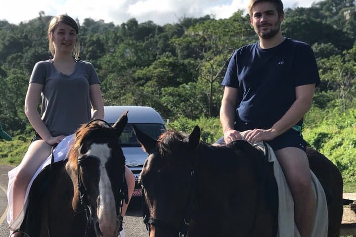 Blue Hole Waterfalls & Horseback Riding from Montego Bay — A 5–6 Hour Day Trip