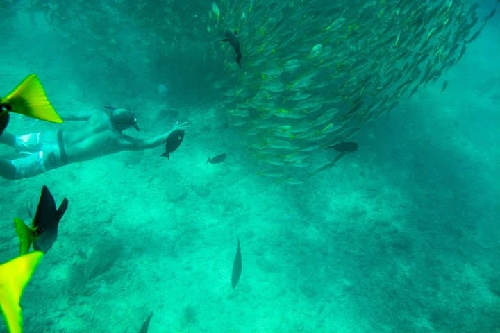 Private Snorkeling in Chileno Bay & Santa Maria Cove - Los Cabos Guided Beach Tour photo 4