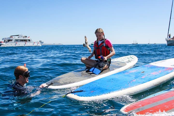 Private Paddleboard and Snorkel at El Arco, Cabo San Lucas photo 5