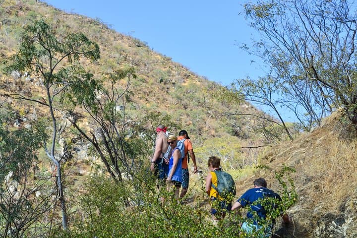 Fox Canyon Oasis Hike from Cabo San Lucas — Waterfalls, Pools & Desert Trails photo 3
