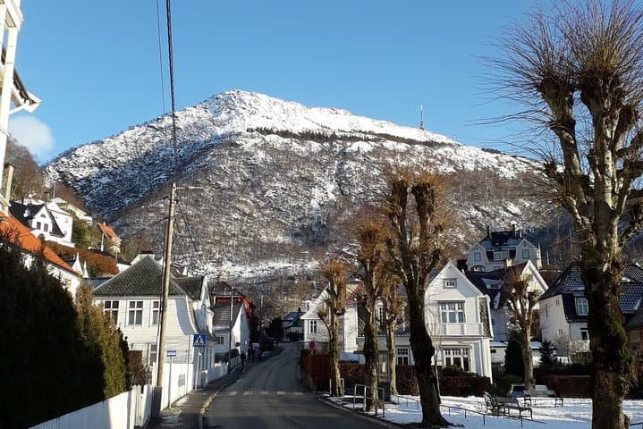 Three-Summit Hike in Bergen: Exploring Fjords, Forests, and Coastal Views photo 5