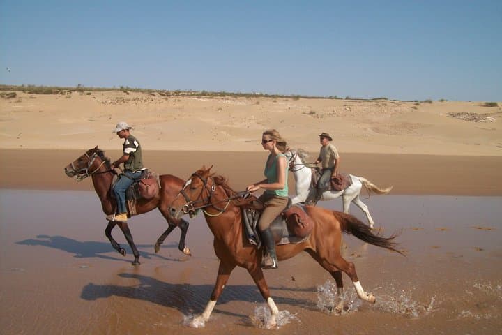 Essaouira Day Trip from Marrakech: Private Full-Day Excursion to Mogador photo 4