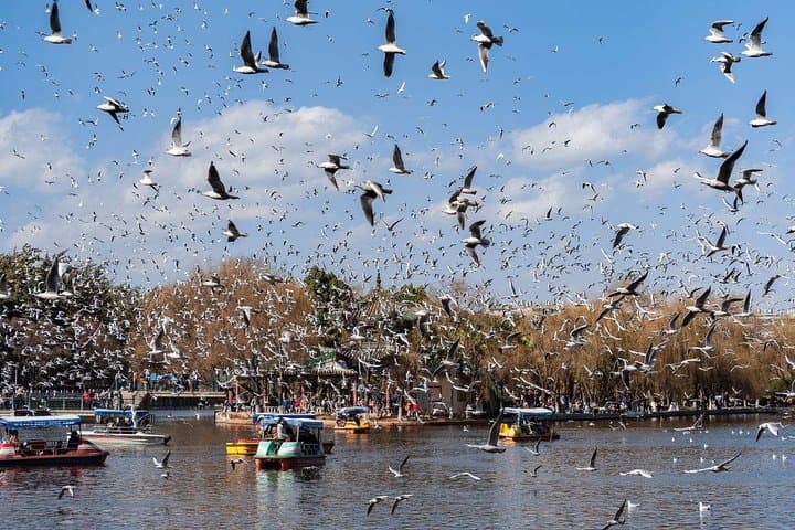 4-Day Yunnan Discovery: Kunming, Dali & Lijiang Private Tour from Shanghai photo 2