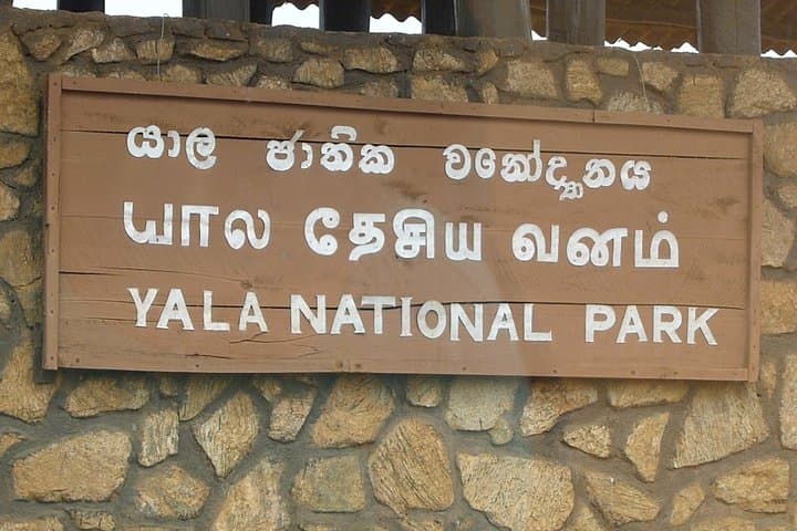 Yala or Udawalawe in a Day: Private Safari from Kalutara photo 3