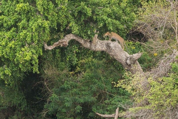 Yala or Udawalawe in a Day: Private Safari from Kalutara photo 4