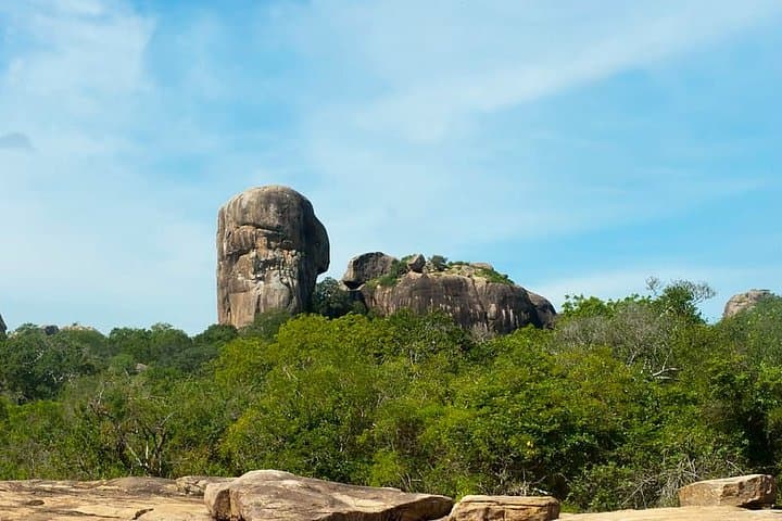 Yala or Udawalawe in a Day: Private Safari from Kalutara photo 5