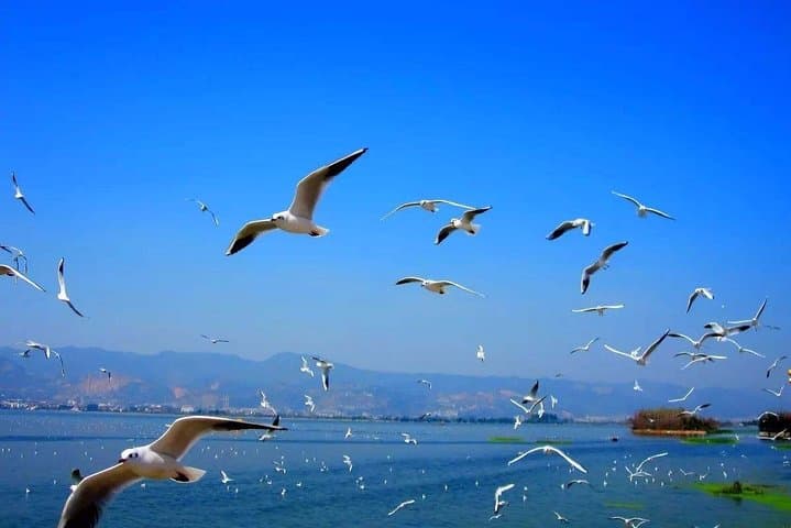 Kunming Private Day Tour: Dianchi Lake, West Hill & Anning Hot Springs photo 2