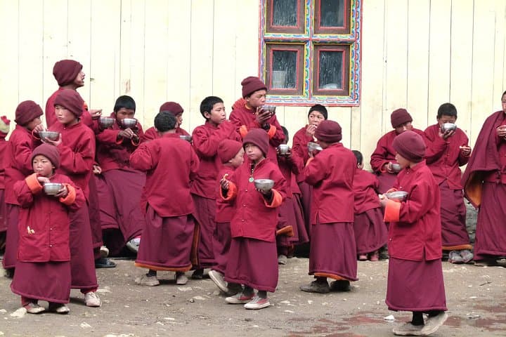 Manaslu Circuit Trek: 17-Night Himalayan Circuit Over Larkya La photo 4