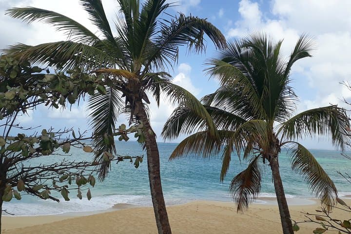 Private Full-Day Pirate-Style Sail & Snorkel Charter in St. Maarten photo 4