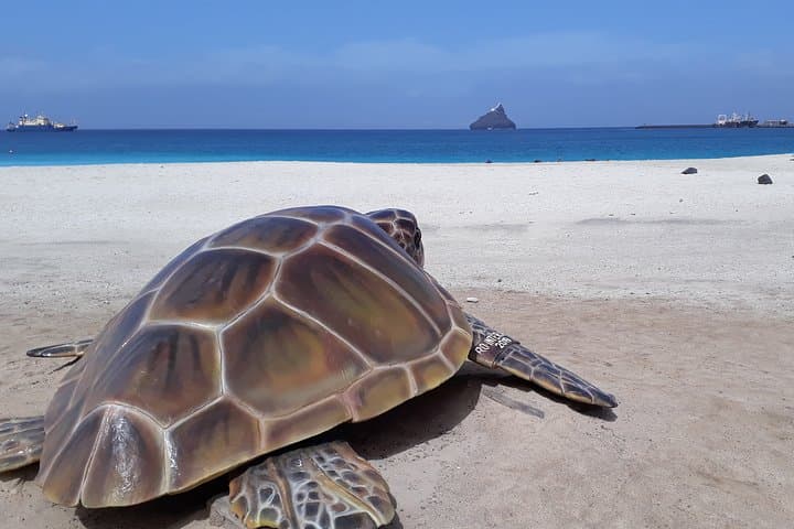 Private Full-Day Pirate-Style Sail & Snorkel Charter in St. Maarten photo 5