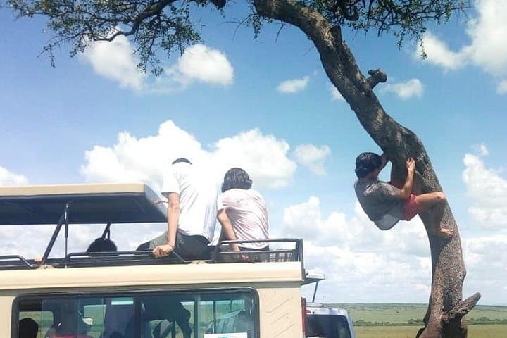 Lake Naivasha Full-Day Boat Tour and Crescent Island Walk photo 4