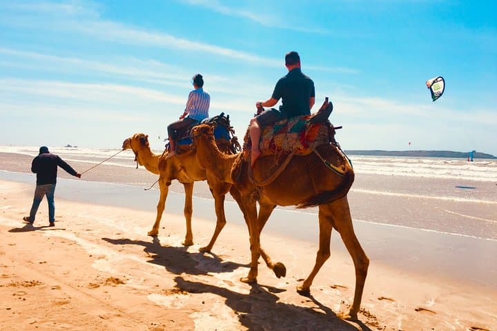 Essaouira Day Trip from Marrakech — Coastal History, Beaches & Fresh Seafood photo 2