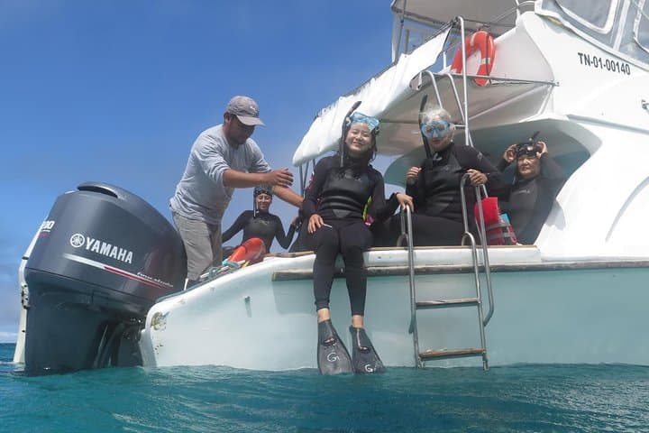 4 Days Galapagos Extreme: Sea Lions, Tortoises & Snorkel Adventures from Puerto Ayora photo 3