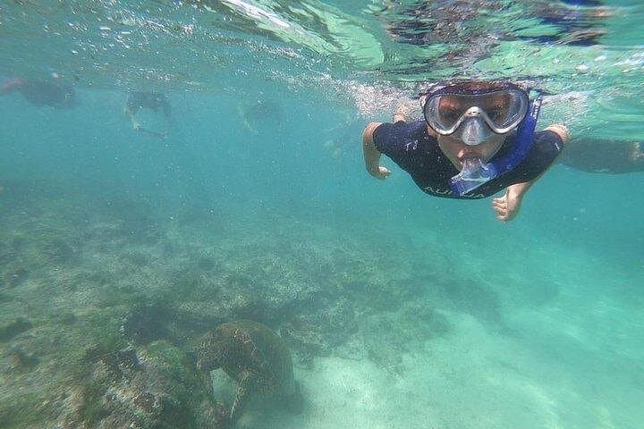 4-Day Galapagos Total Experiences: Isabela & Santa Cruz Wildlife and Snorkel Tour photo 4