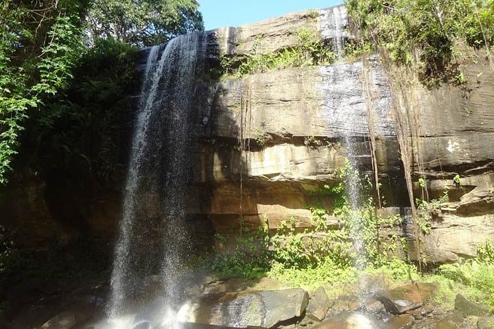 Shimba Hills 1.5-Day Safari — Rainforest, Waterfall & Rare Sable Sighting