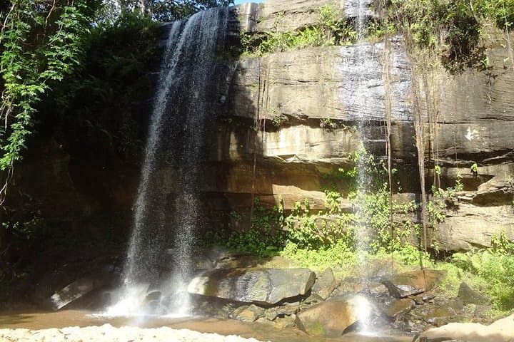 Shimba Hills 1.5-Day Safari — Rainforest, Waterfall & Rare Sable Sighting photo 2