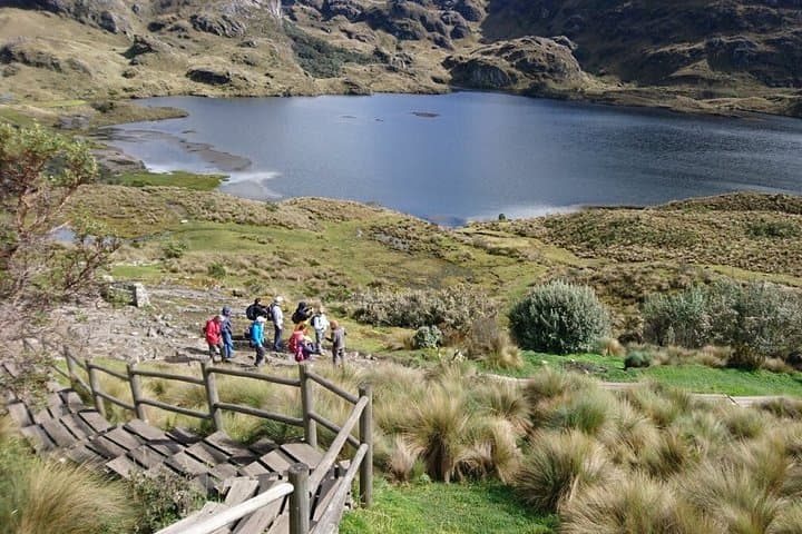 Cajas National Park and Cuenca Day Tour — Lakes, Páramo and City Sights photo 6