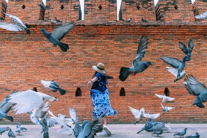 chiang-mai-instagram-tour-most-famous-spots-private-all-inclusive photo 5