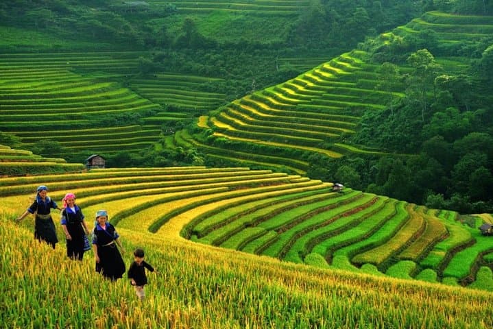 Yuanyang Rice Terraces: 2-Day Private Photography Tour from Kunming photo 4