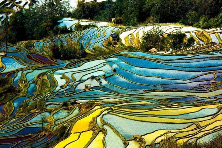 Yuanyang Rice Terraces: 2-Day Private Photography Tour from Kunming photo 6