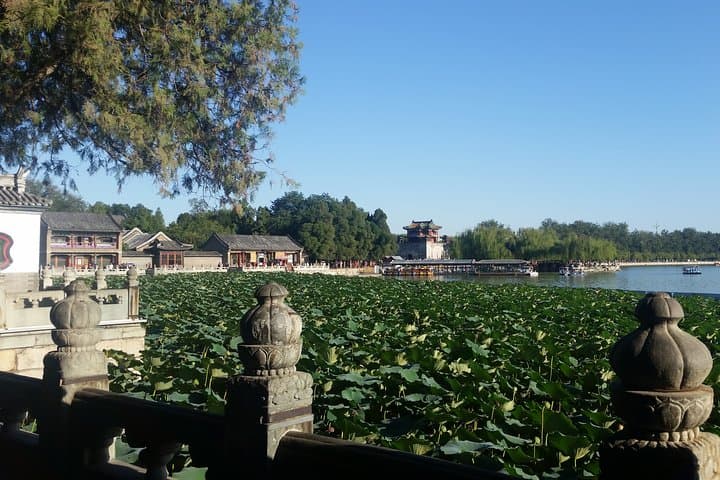 Beijing Private Layover Tour: Forbidden City, Tiananmen & 798 Art Zone with Lunch and Airport Pickup photo 6