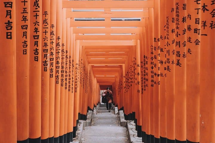 Tokyo Personalized Full-Day Tour with a Local Expert — Custom Private Walking Experience photo 4