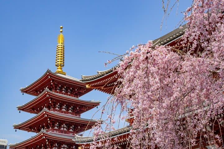 Tokyo Personalized Full-Day Tour with a Local Expert — Custom Private Walking Experience photo 3