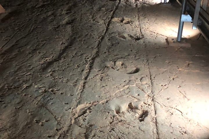 Carisbrooke Station & Dinosaur Stampede Day Tour from Winton — Lark Quarry Tracks and Outback Station Visit photo 3