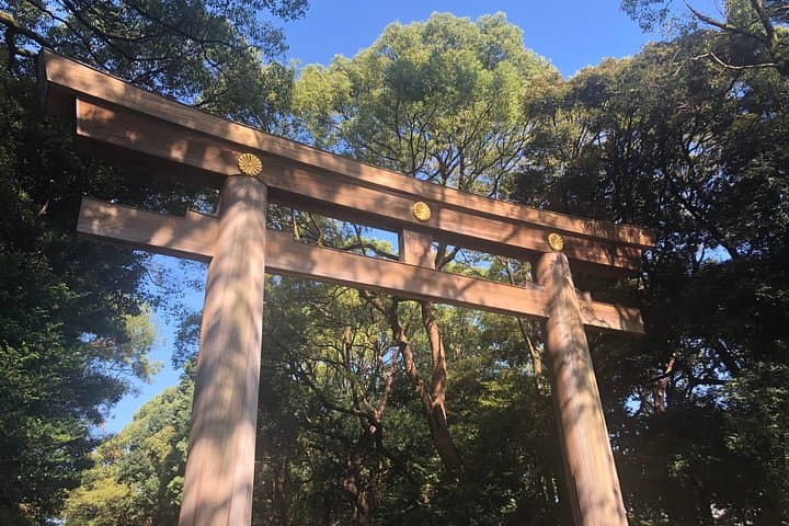 Tokyo Personalized Full-Day Tour with a Local Expert — Custom Private Walking Experience photo 2