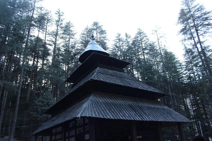 Kullu, Manali & Shimla Private Tour — 7-Day Himalayan Road Journey photo 6