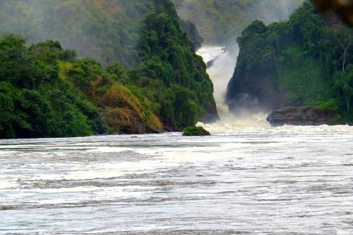 14-Day Uganda Safari: Gorilla Trek, Murchison Falls & Ssese Islands Adventure photo 2