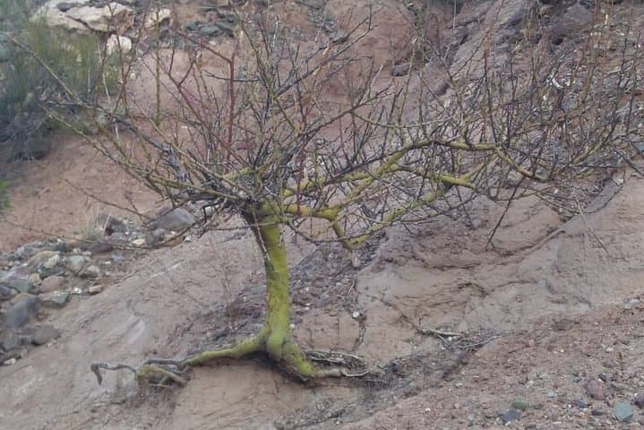 Private Tour to Divisadero Largo from Mendoza — Rock Formations, Views & Local Secrets photo 4