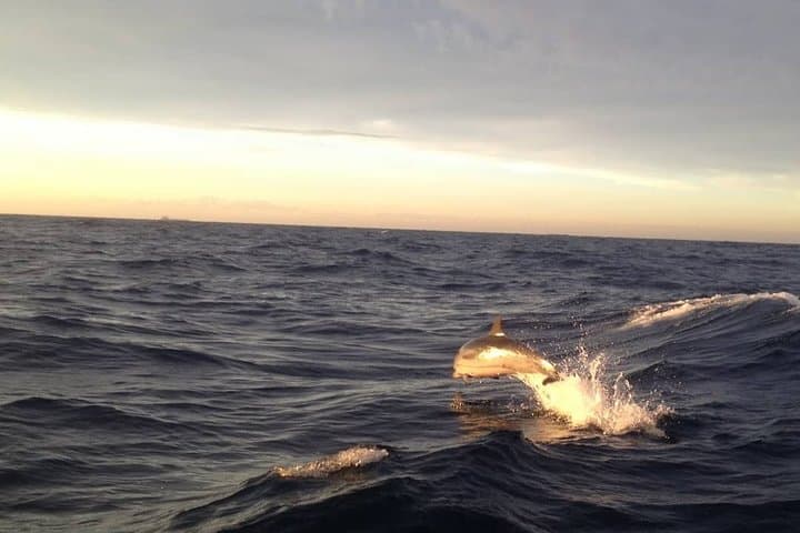 Private Full-Day Pirate-Style Sail & Snorkel Charter in St. Maarten photo 6