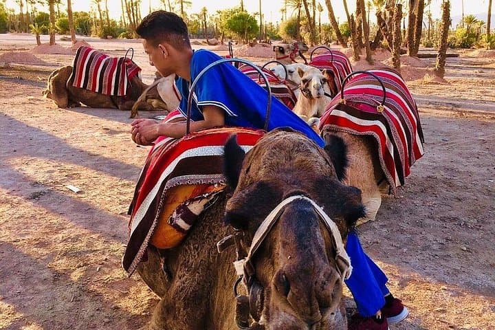 Agafay Desert and Atlas Mountains Day Trip from Marrakesh — Berber Villages, Takerkoust & Sunset photo 4