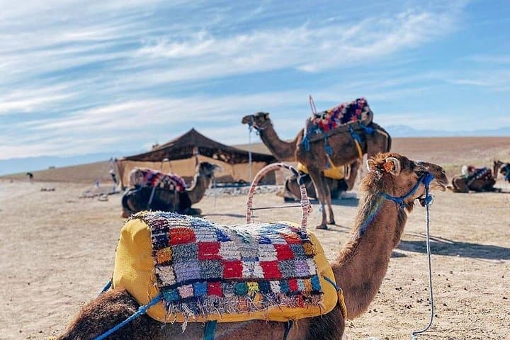 Agafay Desert and Atlas Mountains Day Trip from Marrakesh — Berber Villages, Takerkoust & Sunset photo 2