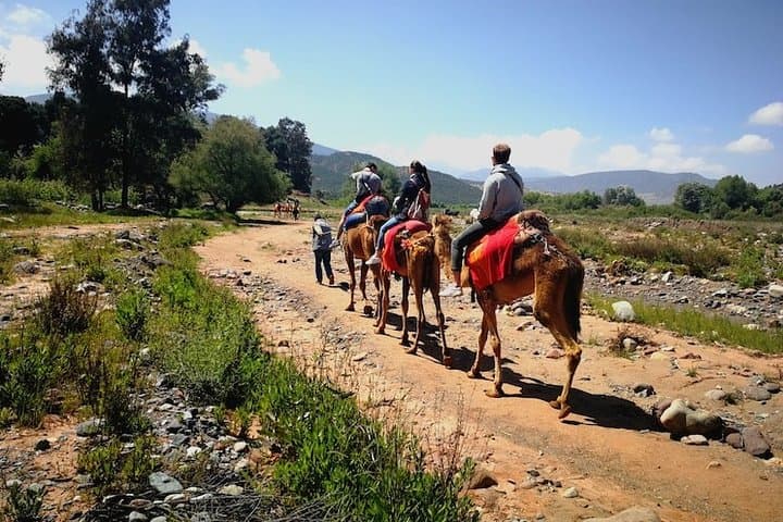 High Atlas Day Trip: Berber Valley Villages, Waterfalls & Imlil Views photo 1