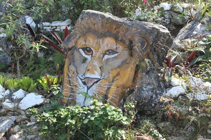 Ahhh Ras Natango Garden Tour — Montego Bay Botanical & Art Experience photo 3