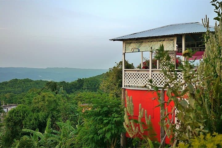 Ahhh Ras Natango Garden Tour — Montego Bay Botanical & Art Experience photo 6