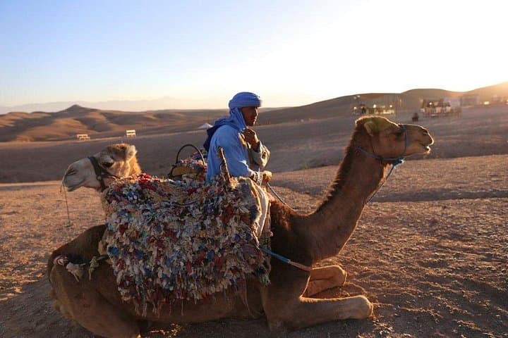Agafay Desert and Atlas Mountains Day Trip from Marrakech with Camel Ride and Berber Lunch photo 4