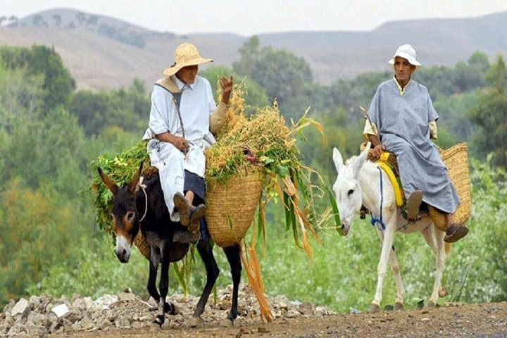 Atlas Mountains Day Tour from Marrakech: Imlil, Berber Villages & Waterfalls photo 2