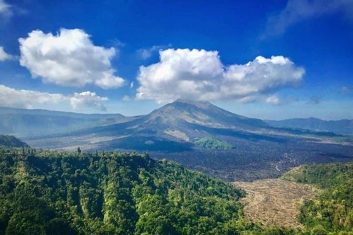 North Bali 2-Day Private Tour — Lovina Dolphins, Waterfalls & UNESCO Rice Terraces photo 2