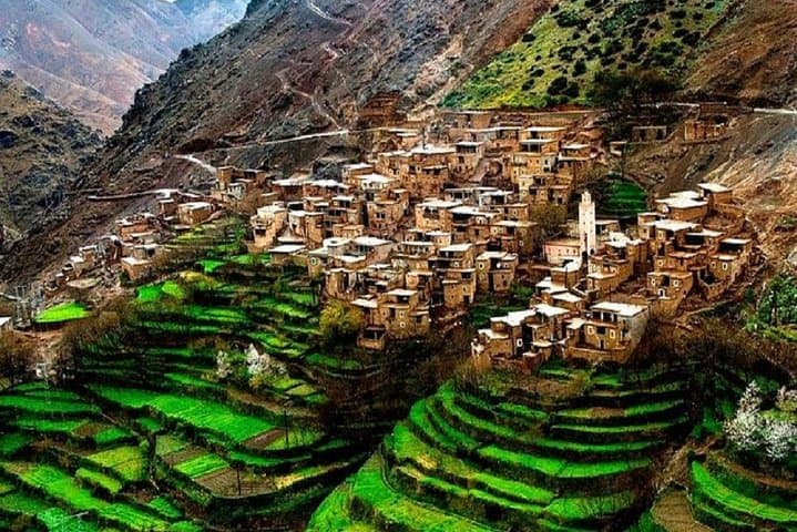 Agafay Desert and Atlas Mountains Full-Day Adventure from Marrakech photo 5