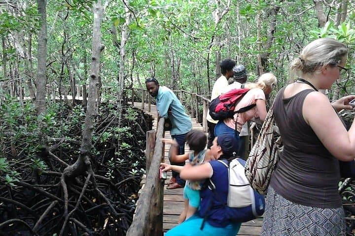 Spice Farm and Jozani Forest Private Tour — Zanzibar Day Trip Guide