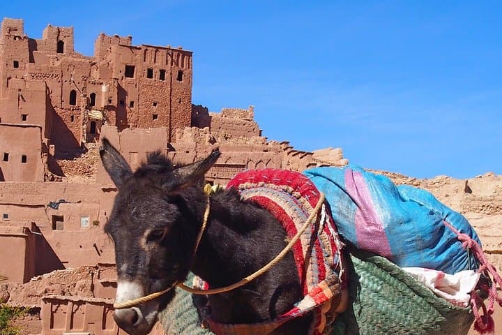 Day Trip to Ouarzazate & Aït-ben-Haddou from Marrakech