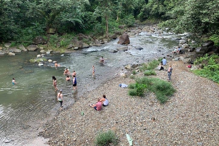 Rainforest River Nature Walk and Luquillo Beach — El Yunque Half-Day Adventure photo 6