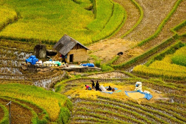 Sapa Villages Trekking and Homestay: 2-Day Y Linh Ho, Lao Chai & Ta Van photo 3