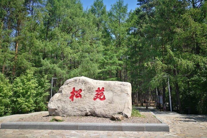 4-Day Mohe & Arctic Village Private Tour — China's No Night City and the Northern Lights photo 4
